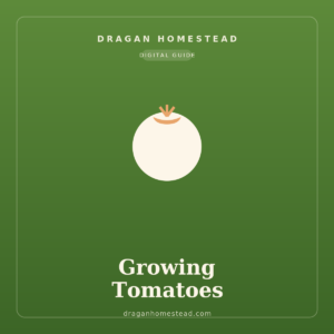 Growing Tomatoes