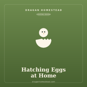 Hatching Eggs at Home