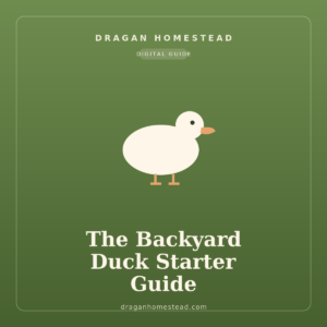 The Backyard Duck Starter Guide