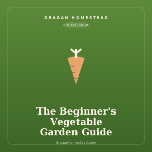 The Beginner's Vegetable Garden Guide